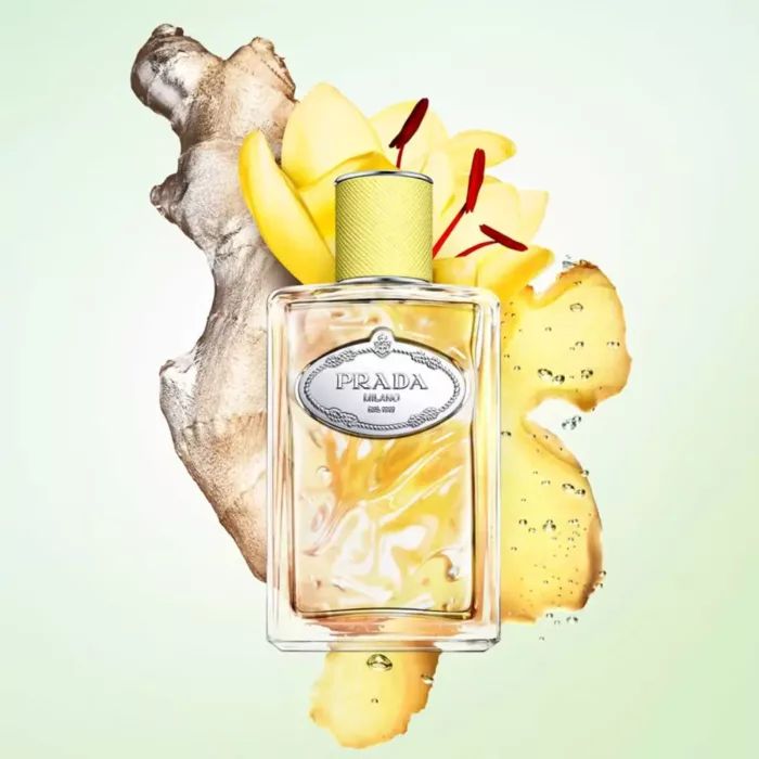 Prada, Infusion de Gingembre, Eau de Parfum – Image 4