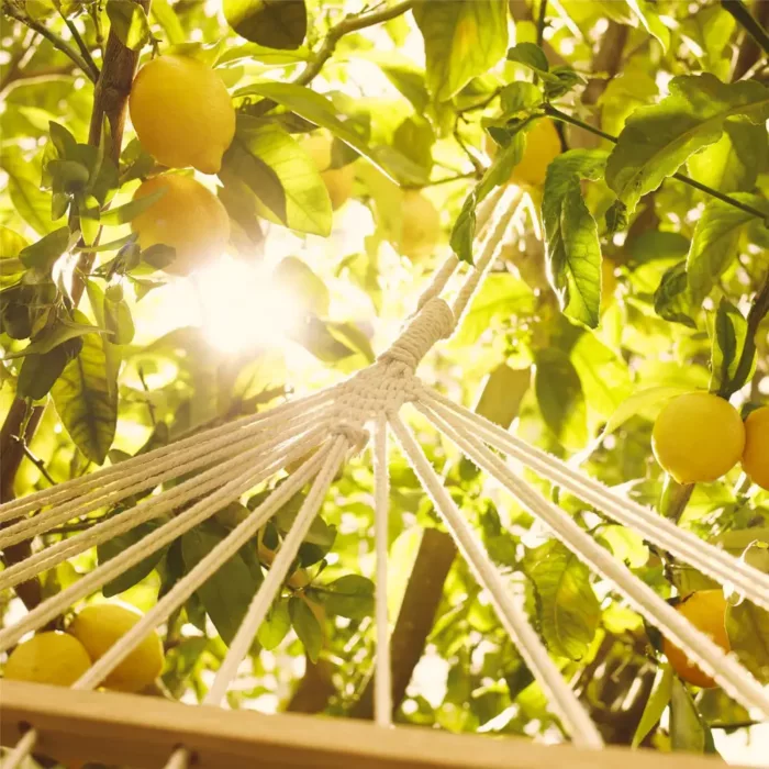 Maison Margiela, Under the Lemon Trees, Eau de Toilette – Image 4