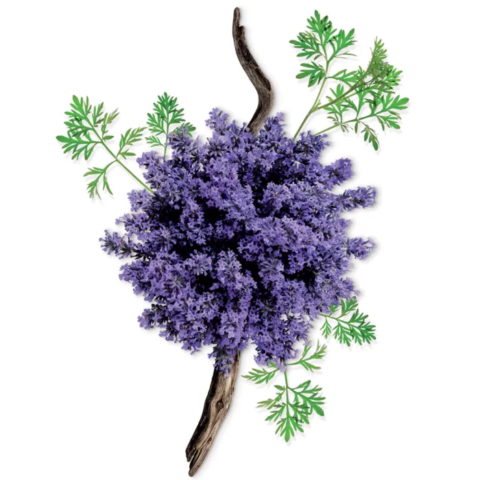 Mauboussin, Pour Lui, Eau de Parfum – Image 2